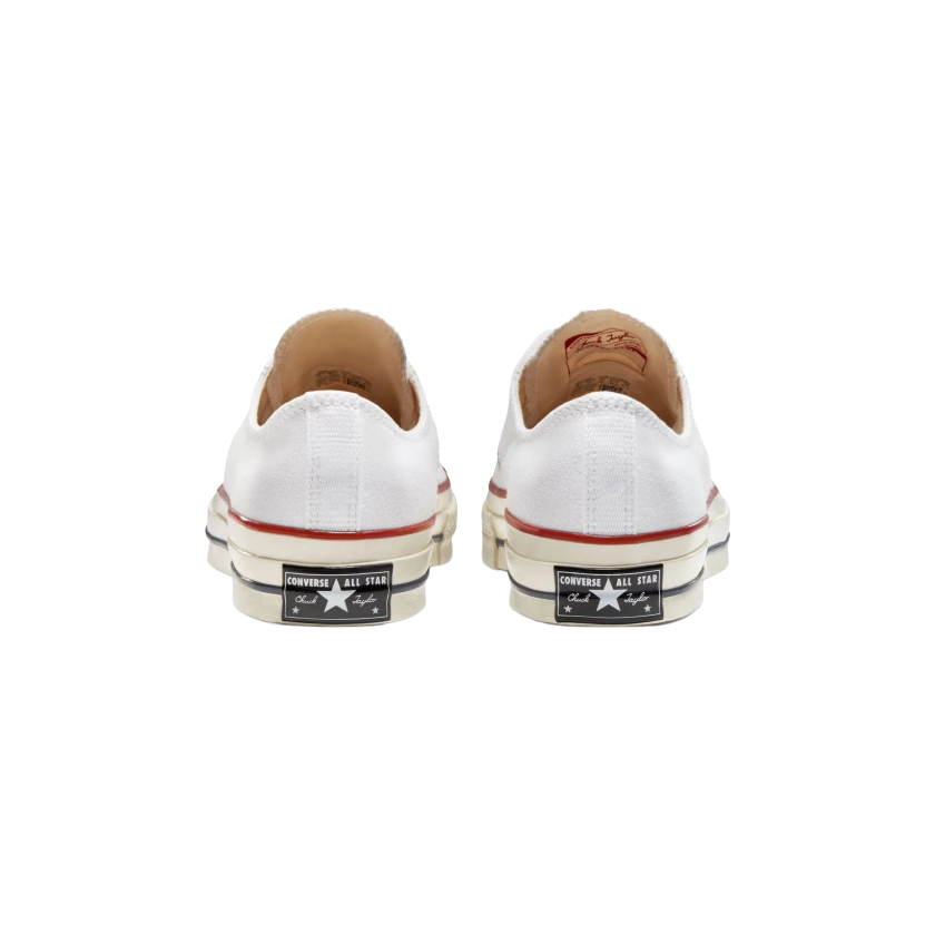 Nomada26 8-28-162065C-3