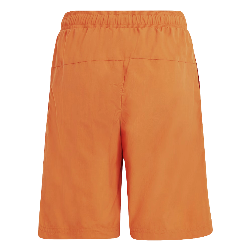 Nomada26 2-88-ic5389-1