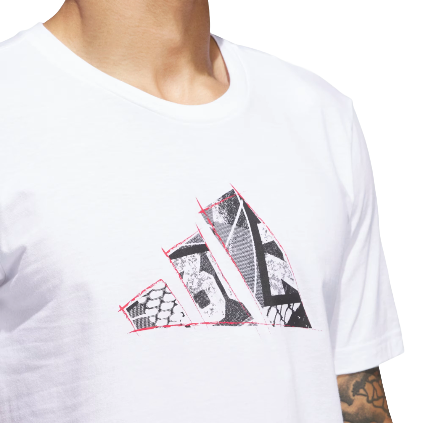 Nomada26 3-37-jv9568-2